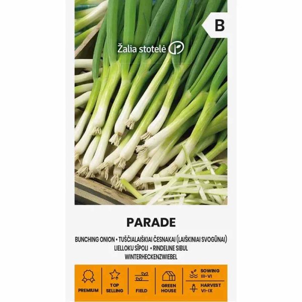 Bunching Onion 'Parade'