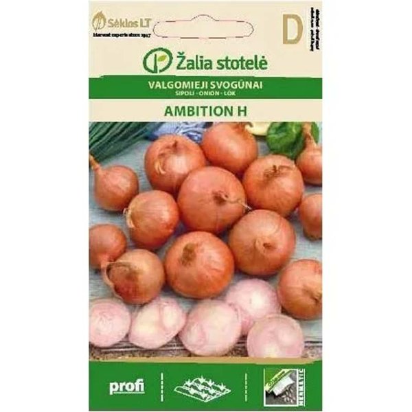Shallot 'Ambition' F1
