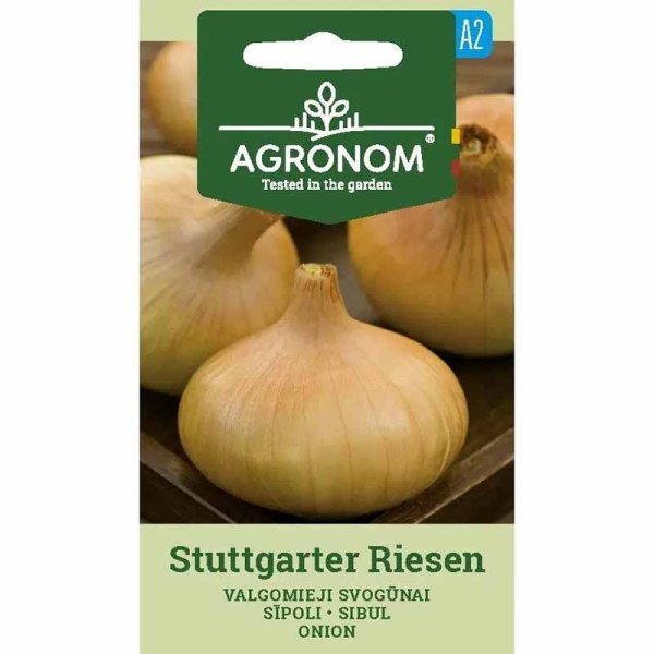 Onion 'Stuttgarter Riesen'