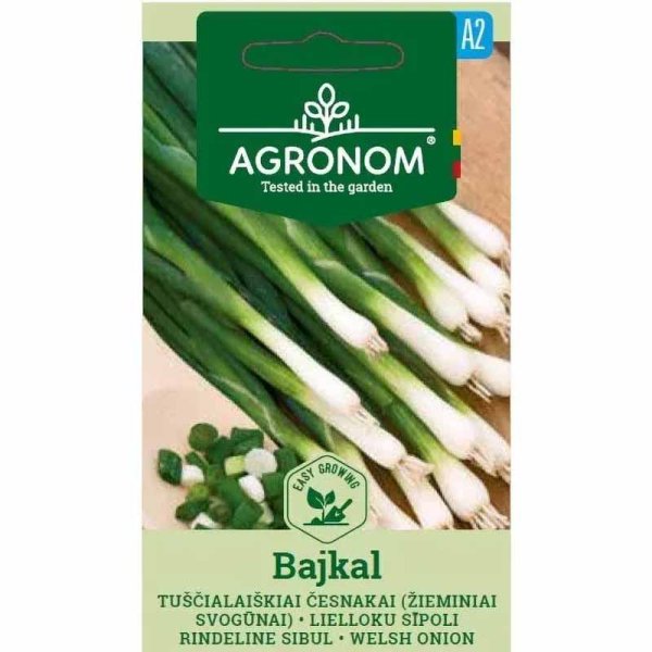 Welsh onion 'Bajkal'