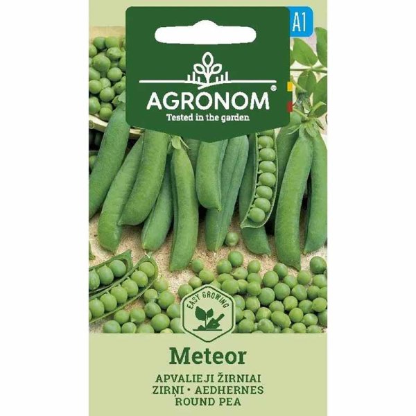 Shelling Pea 'Meteor'