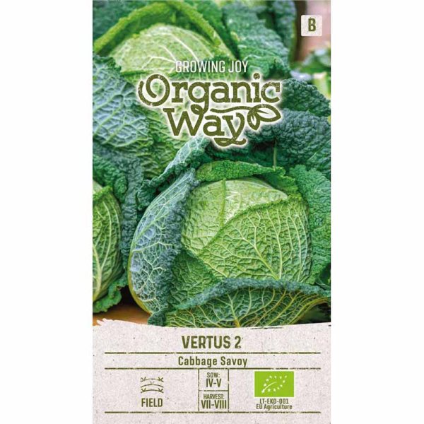 Savoy Cabbage 'Vertus 2'