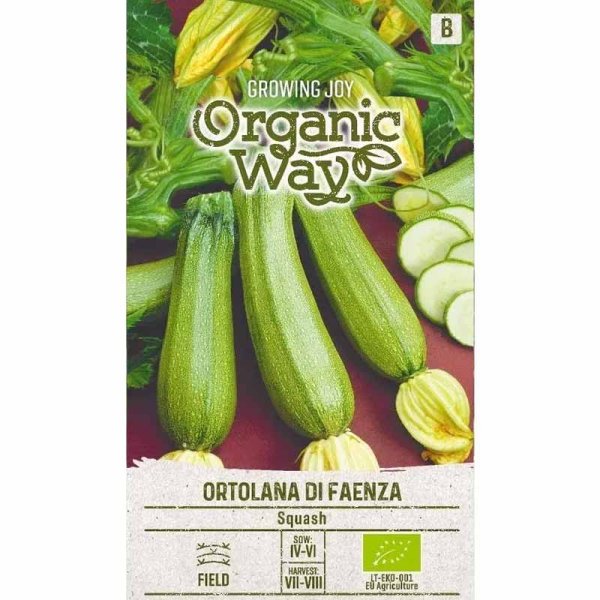 Squash 'Ortolana di faenza'