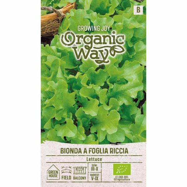 Loose-leaf Lettuce 'Bionda a foglia riccia'