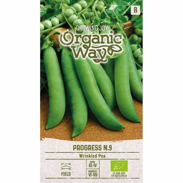 Pea 'Progress N.9'