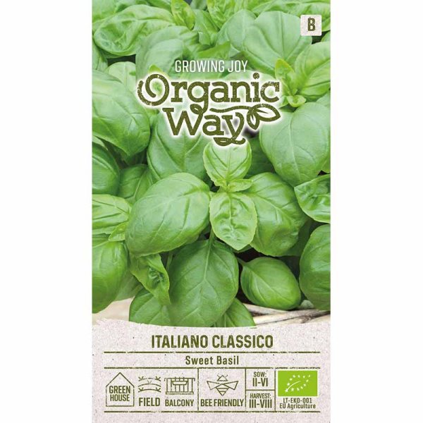 Basil 'italiano classico' eco