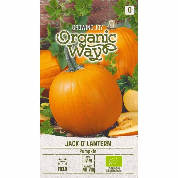 Pumpkin 'Jack o lantern'