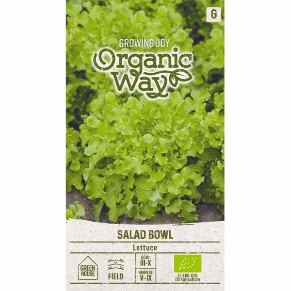 Lettuce 'Salad Bowl'