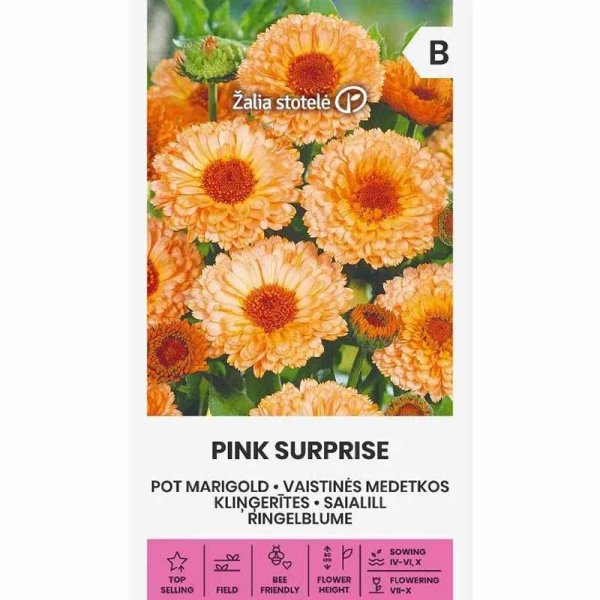 Calendula 'Pink suprise'