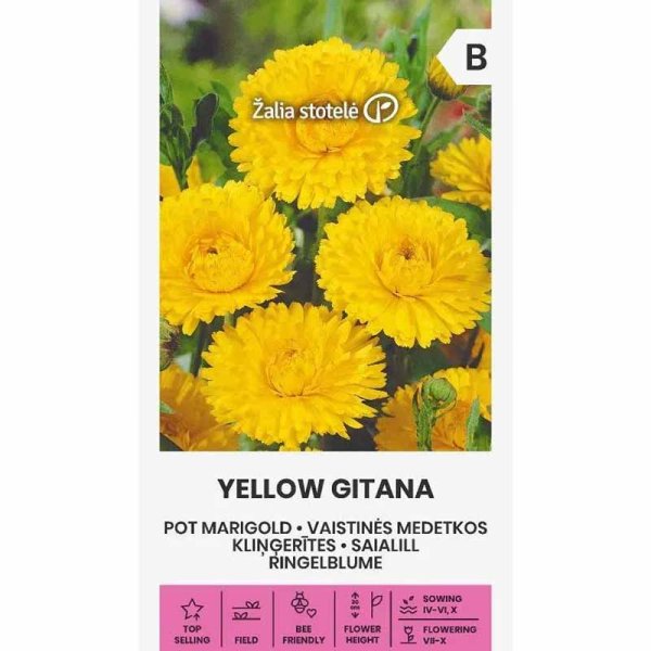 Calendula 'Yellow gitana'