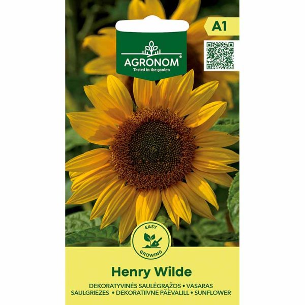 Sunflower 'Henry Wilde'