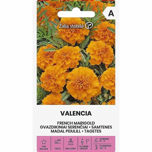 French Marigold 'Valencia'