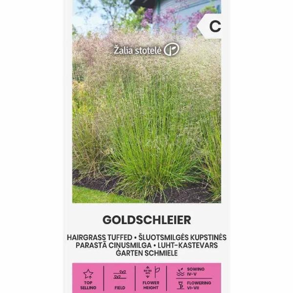 Tufted Hair Grass 'Goldschleier'
