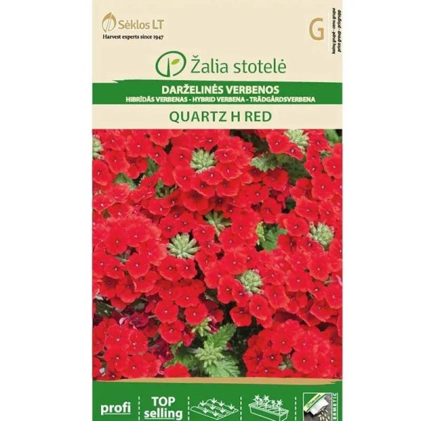 Verbena 'Quartz' F1 Red