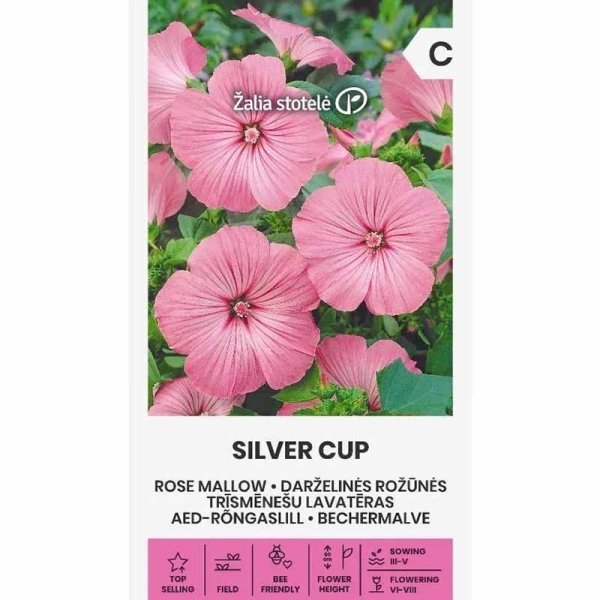 Annual Mallow 'Silver cup'