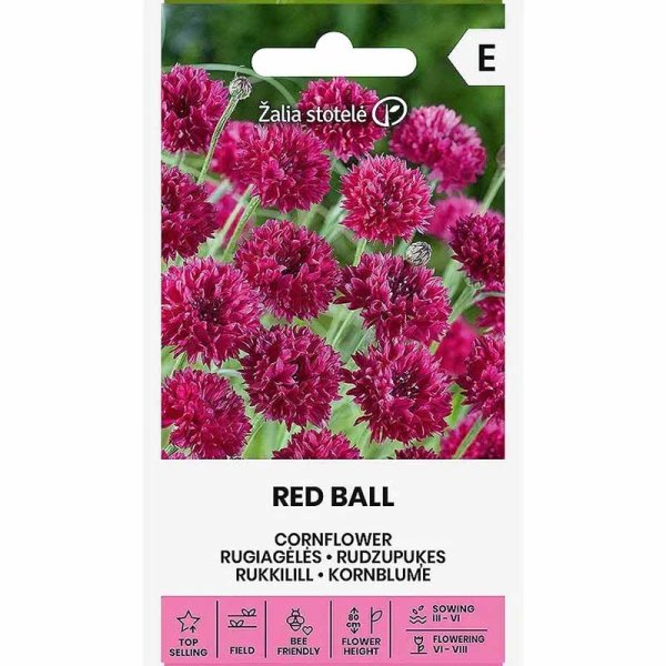 Cornflower 'Red ball'