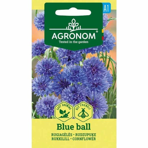 Cornflower 'Blue ball'