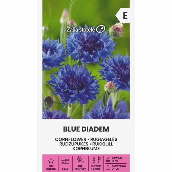 Cornflower 'Blue diadem'