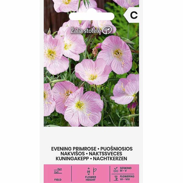 Evening Primrose pink