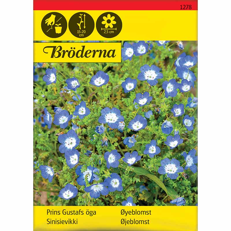 Prince Gustav’s Eye