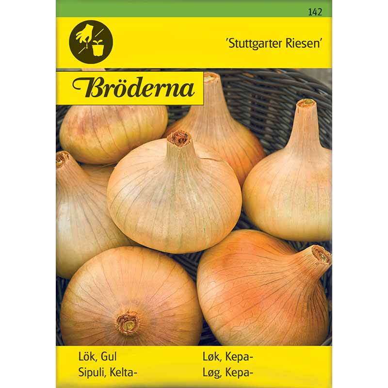 Yellow Onion 'Stuttgarter Riesen'