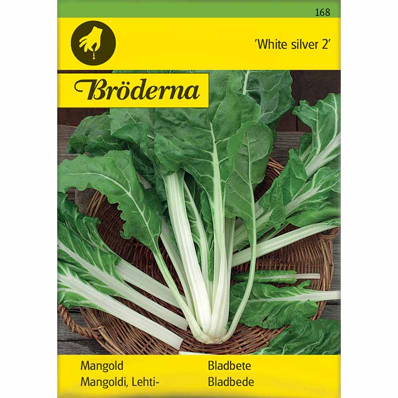 Swiss Chard 'White silver 2'