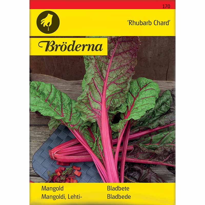 Swiss Chard 'Rhubarb Chard'
