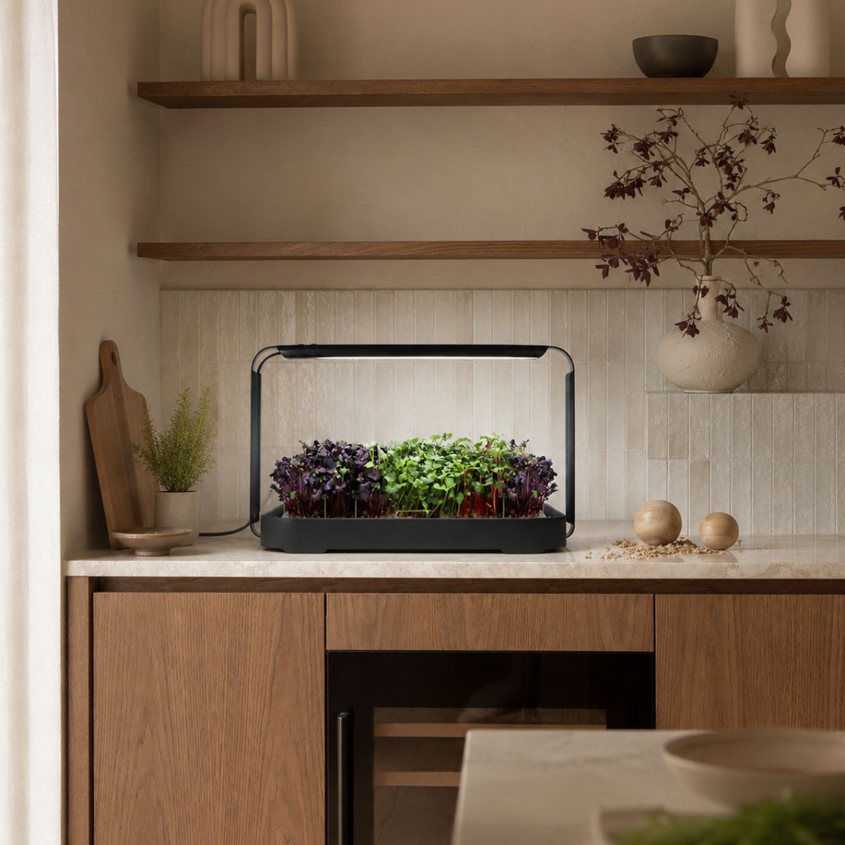 Urban Root Grove Black