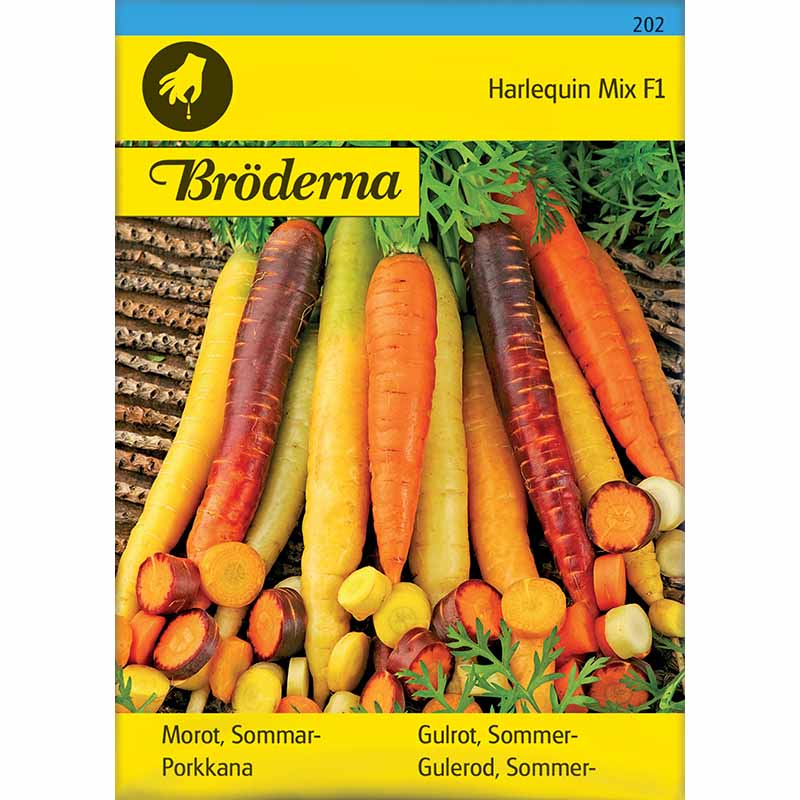 Summer Carrot 'Harlequin Mix'F1