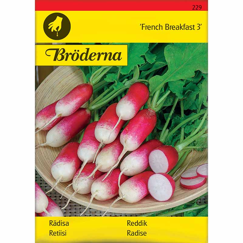 Radish 'French Breakfast 3'