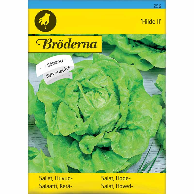 Head Lettuce 'Hilde II' Seed Tape