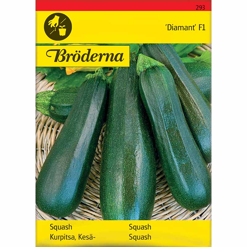 Squash 'Diamant' F1
