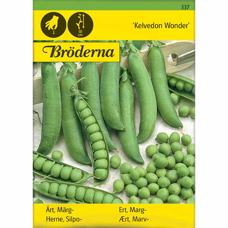 Pea 'Kelvedon Wonder'