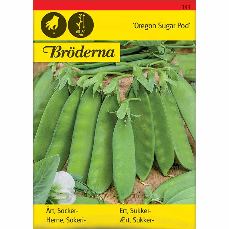 Sugar Snap Pea 'Oregon Sugar Pod'
