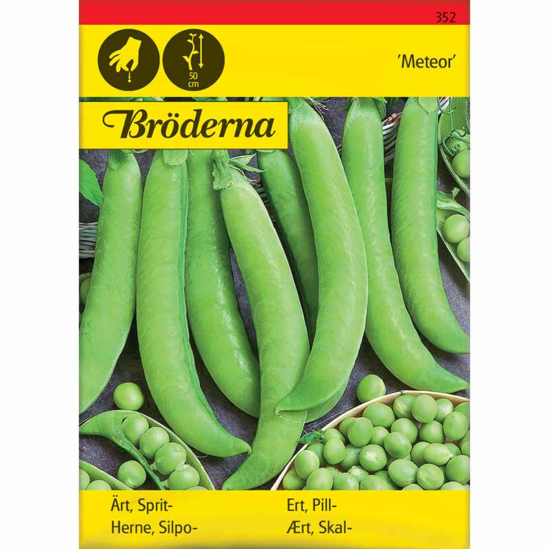 Shelling Pea 'Meteor'