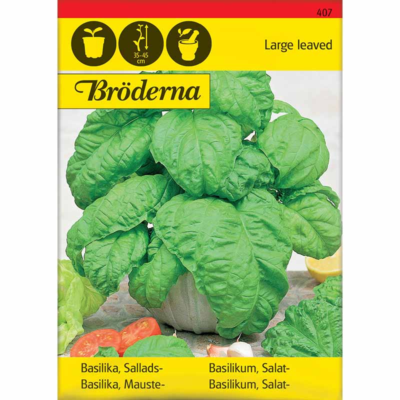 Basil 'Large leaved'