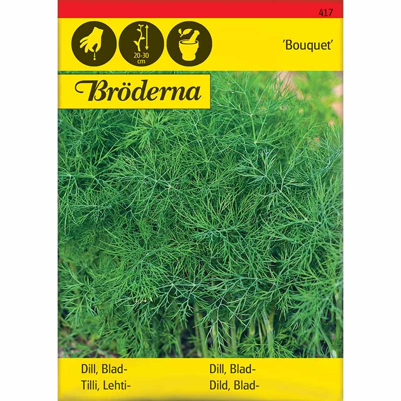 Leaf Dill 'Bouquet'