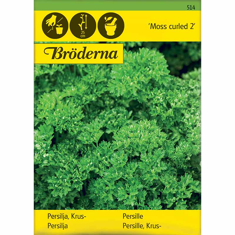 Leaf Parsley 'Moss curled 2'