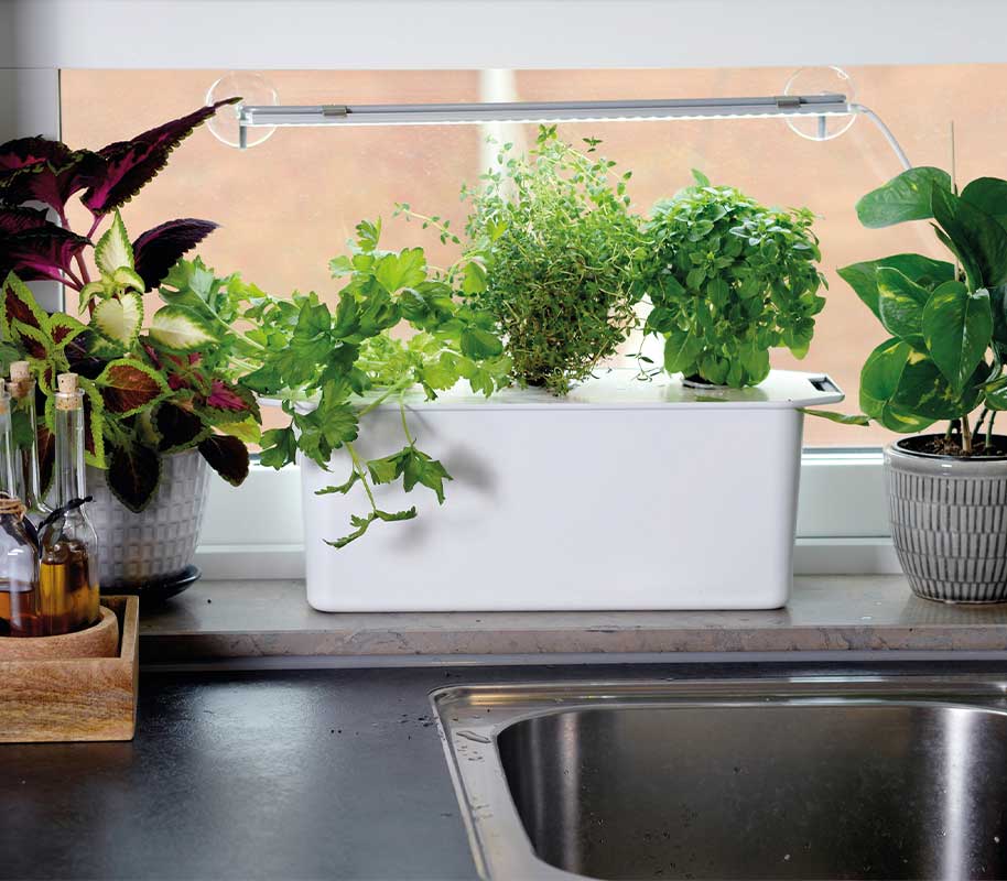 Hydroponic system Harvy 3 white