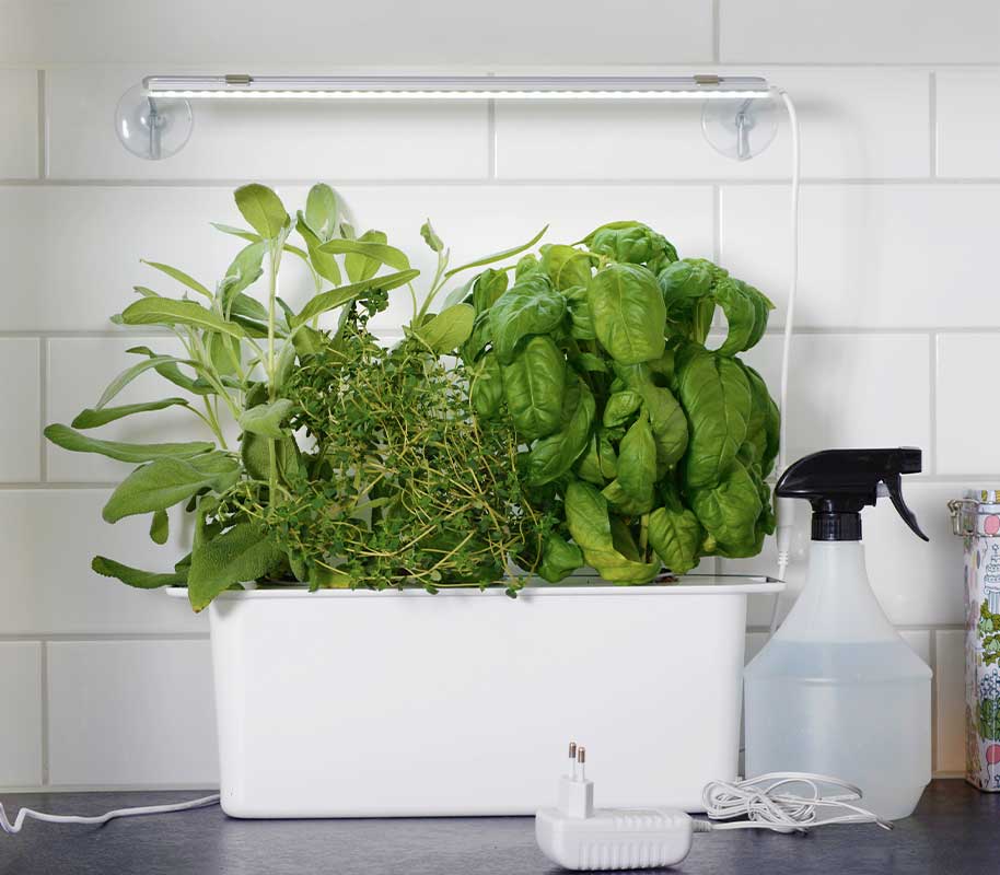 Grow Light LED 39cm with Adapter