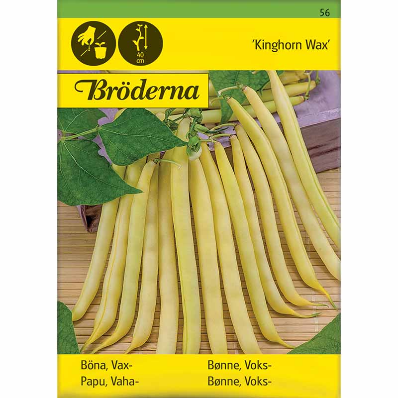 Wax bean 'Kinghorn Wax'