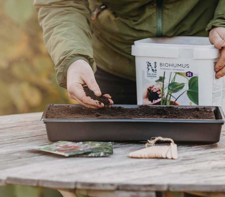 Solid Growing Tray Plug 23x37cm