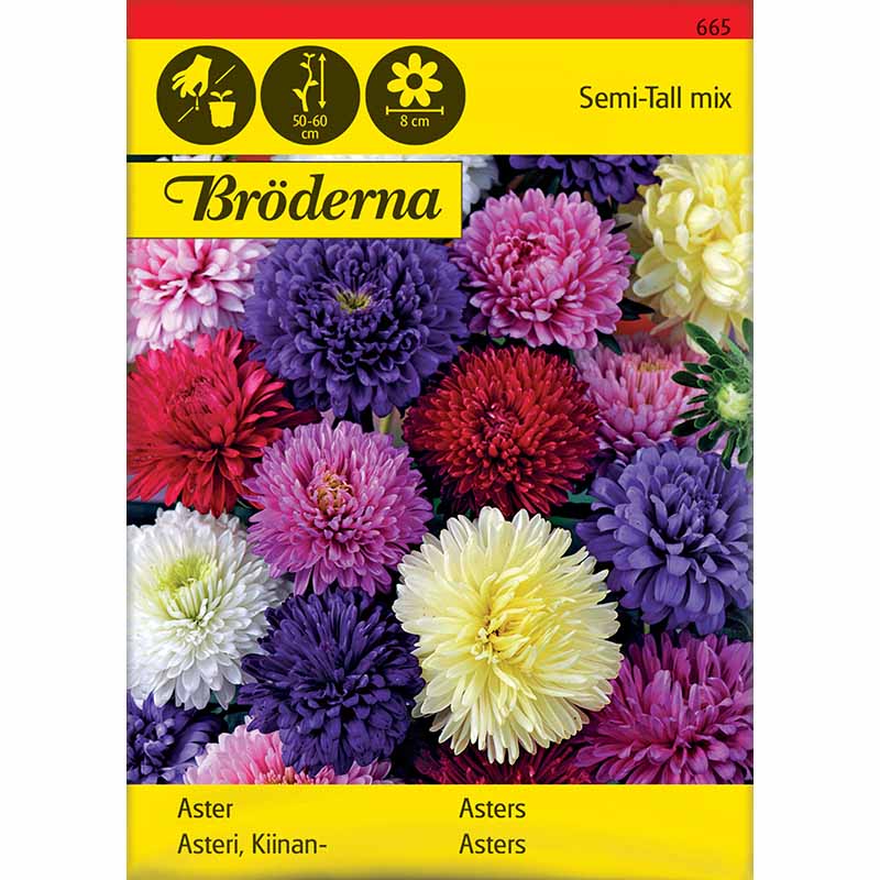 Double Aster Mix Organic