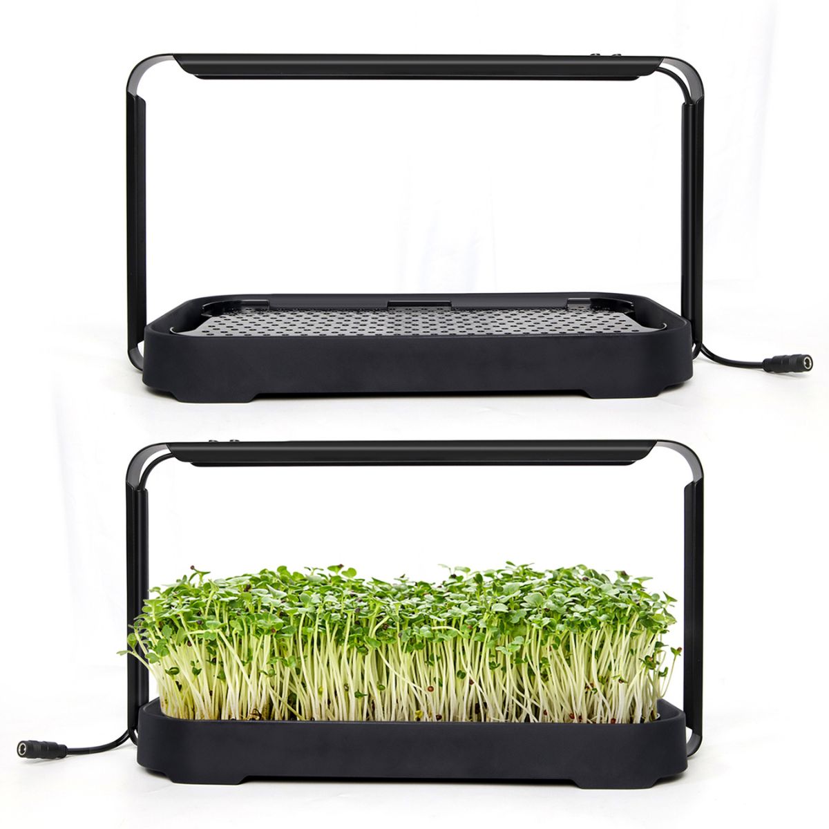 Urban Root Grove Black