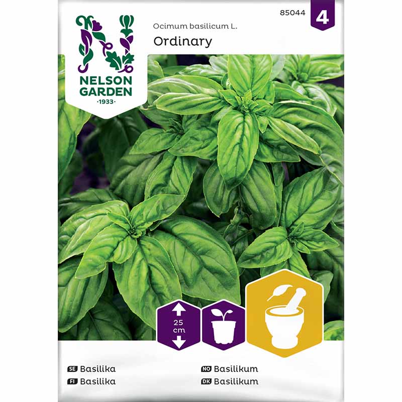 Basil , Grön Ordinary