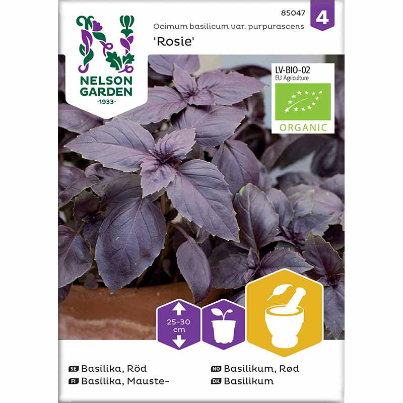 Basil 'Rosie'