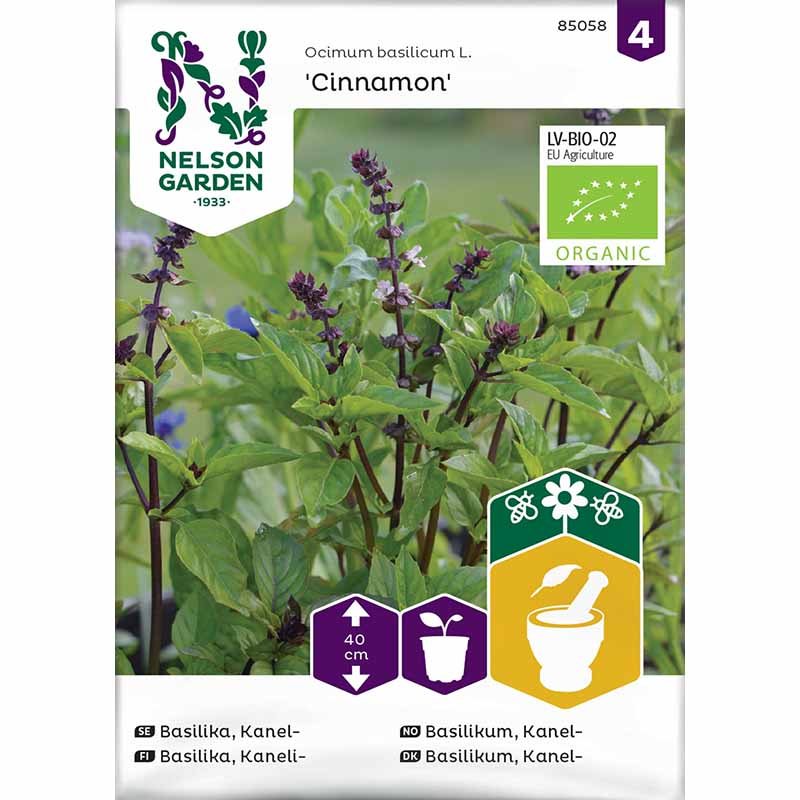 Cinnamon Basil Organic