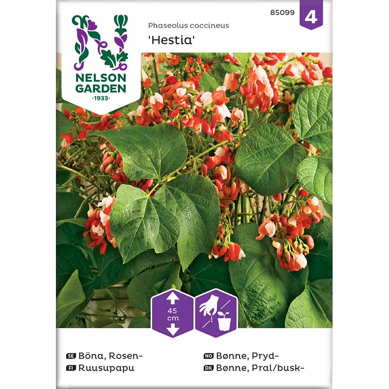 Runner bean 'Hestia'