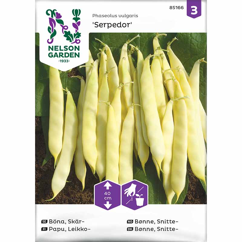 Flat Bean 'Serpedor'