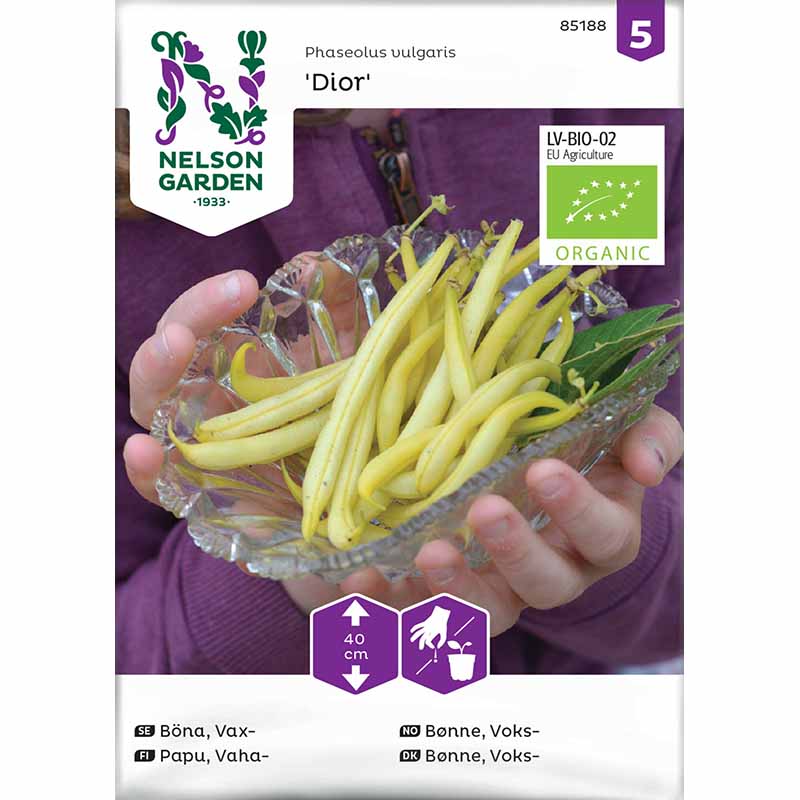 Wax bean 'Dior' organic